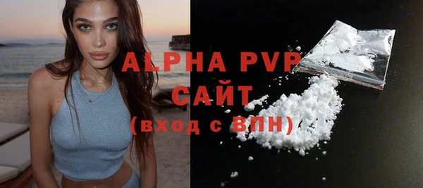 стаф Елабуга