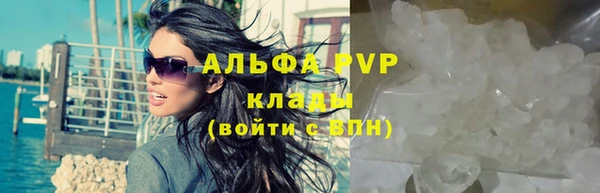 стаф Елабуга