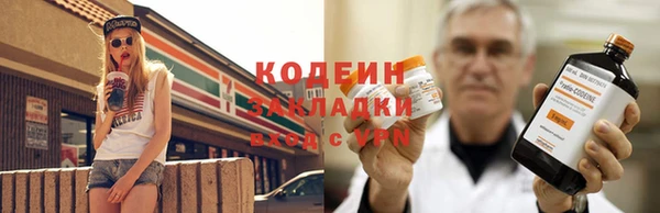 шишки Елизово