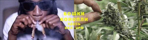стаф Елабуга