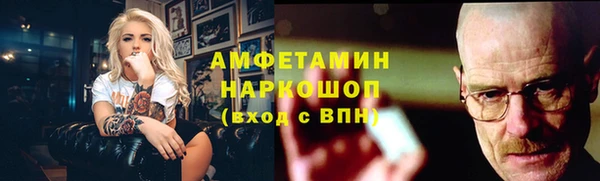 шишки Елизово