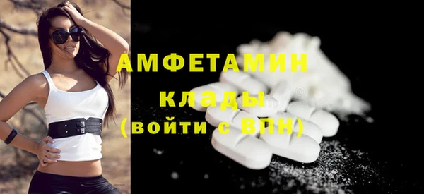 шишки Елизово