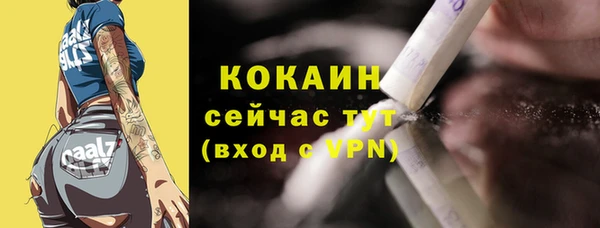 шишки Елизово