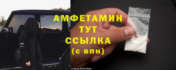 шишки Елизово