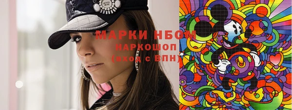 стаф Елабуга