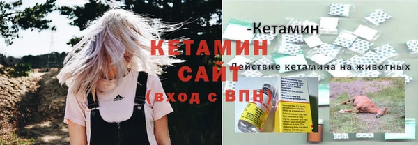 шишки Елизово