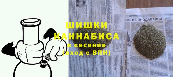 стаф Елабуга