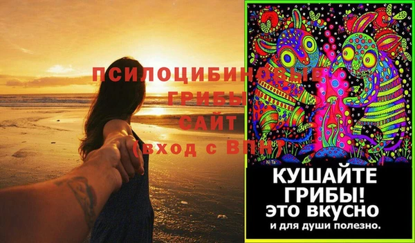 шишки Елизово