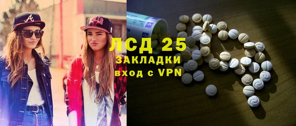 шишки Елизово
