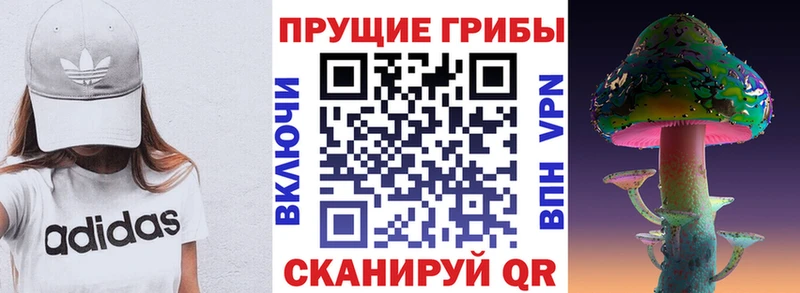 Псилоцибиновые грибы Psilocybine cubensis Няндома